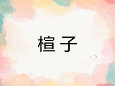 楦子