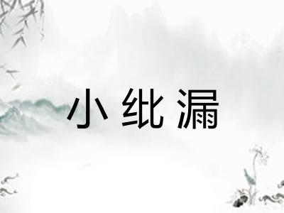 小纰漏