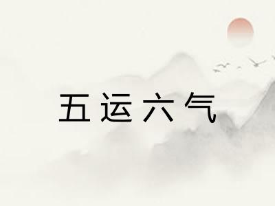五运六气 五运六气