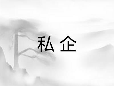 私企