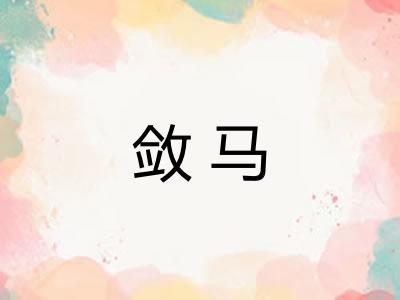 敛马