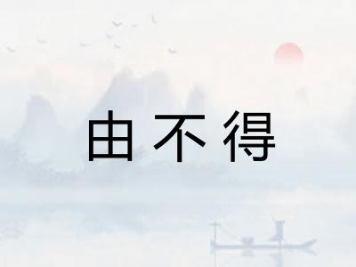 由不得