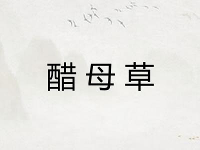 醋母草