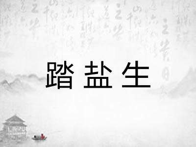 踏盐生