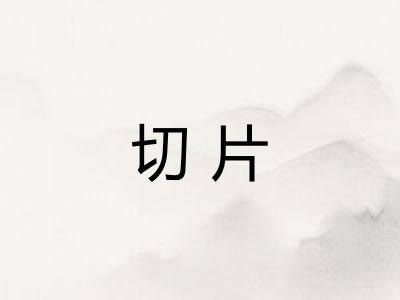 切片