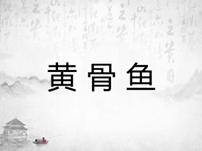 黄骨鱼