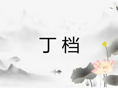 丁档