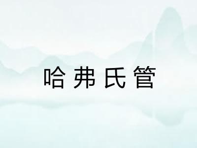 哈弗氏管
