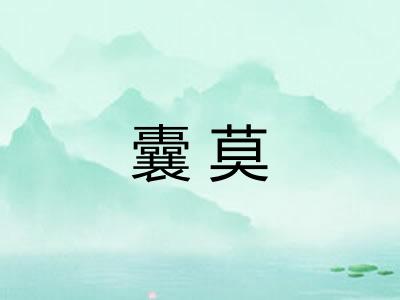 囊莫