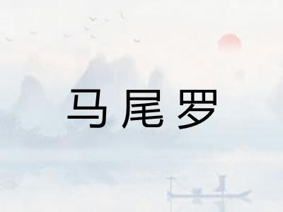 马尾罗