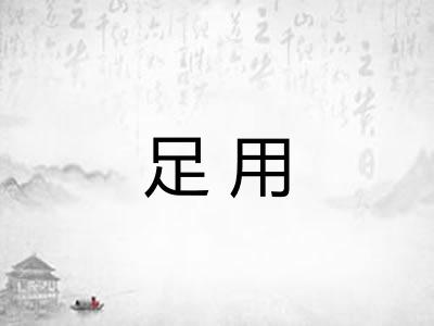 足用