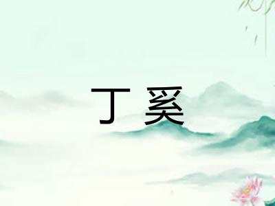 丁奚