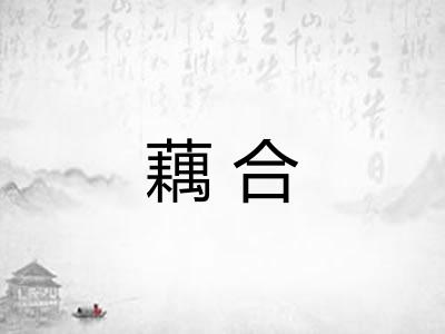 藕合