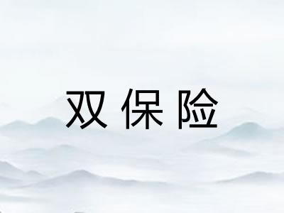 双保险