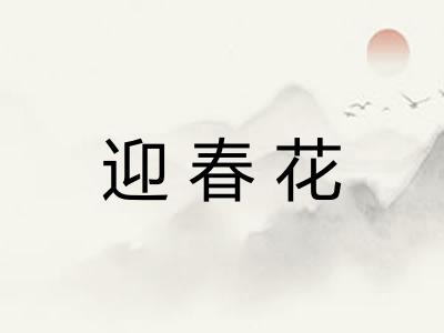 迎春花 迎春花