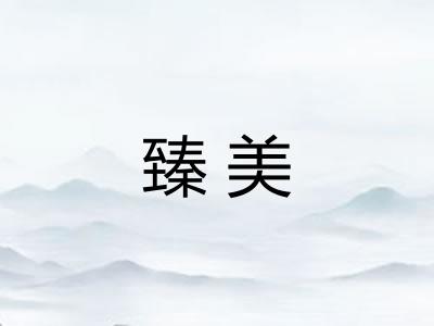 臻美