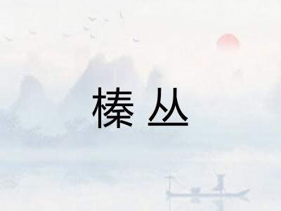 榛丛