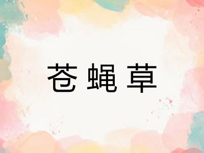 苍蝇草