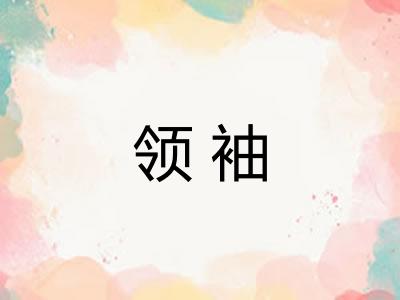 领袖