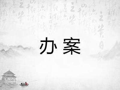 办案