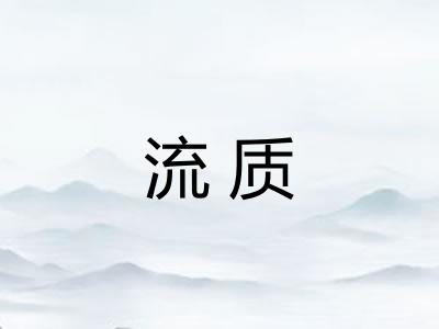 流质