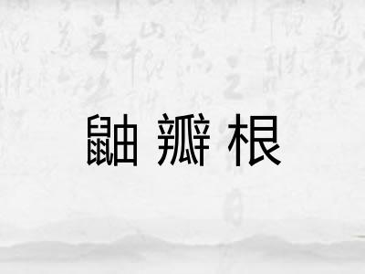 鼬瓣根