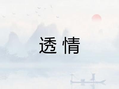 透情