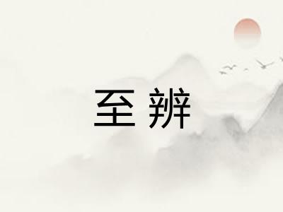 至辨