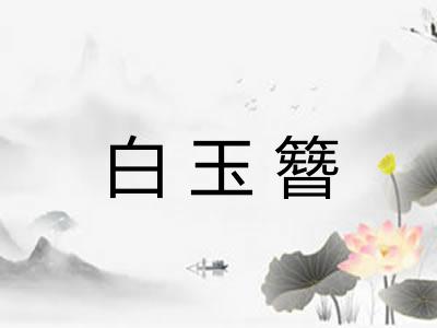 白玉簪