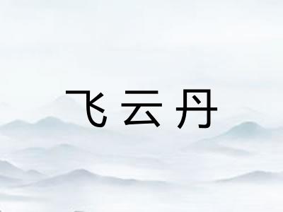 飞云丹