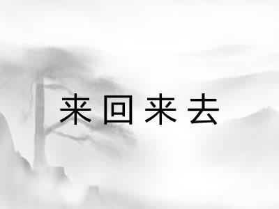 来回来去