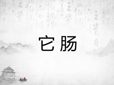它肠