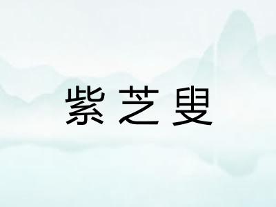紫芝叟