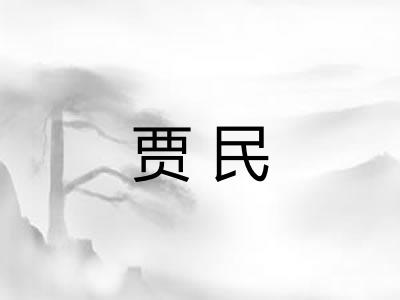 贾民