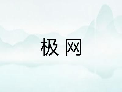极网