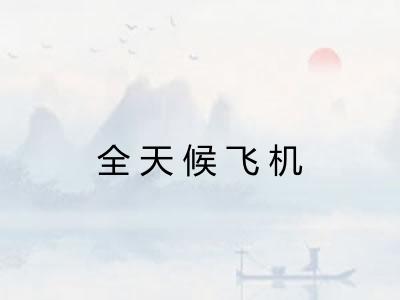 全天候飞机