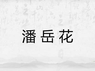 潘岳花