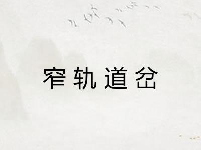 窄轨道岔