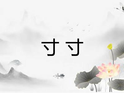 寸寸