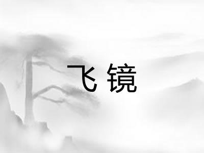 飞镜