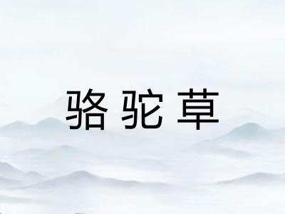 骆驼草