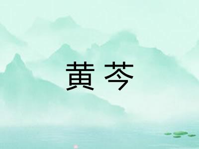 黄芩