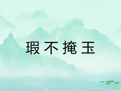 瑕不掩玉