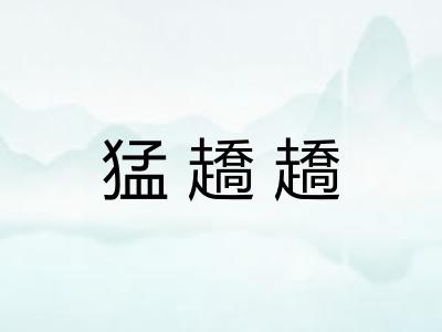 猛趫趫