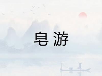 皂游 皂游