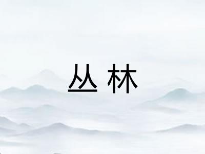 丛林