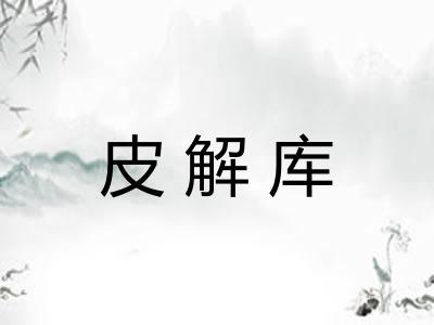 皮解库