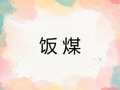 饭煤