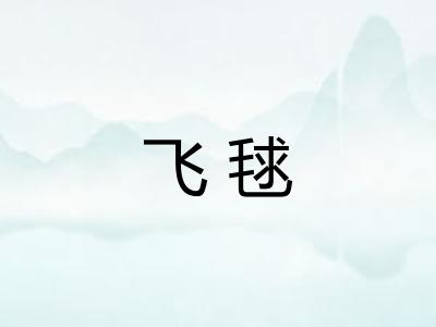 飞毬