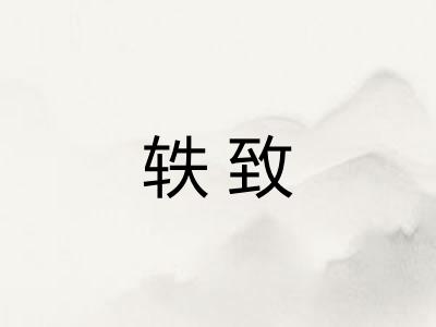 轶致